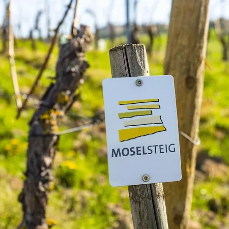 بيت ضيافة Schloss Thorn Palzem