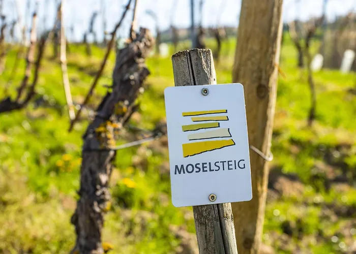 招待所 Schloss Thorn Palzem